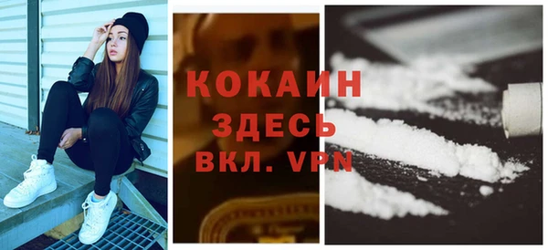 сатива Армянск