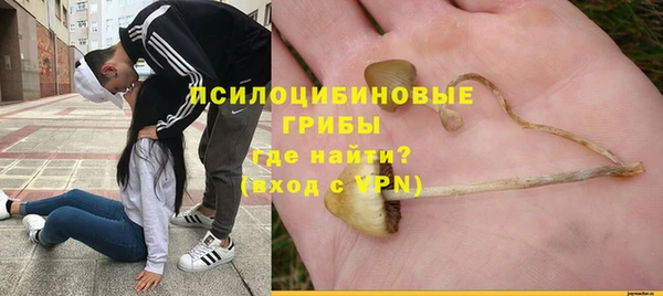 ECSTASY Аркадак